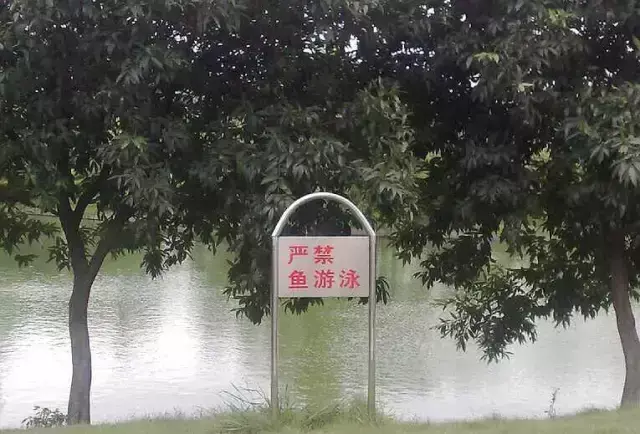 這一些沙雕標(biāo)牌廣告標(biāo)語，讓我站路邊笑了半天停不下來23