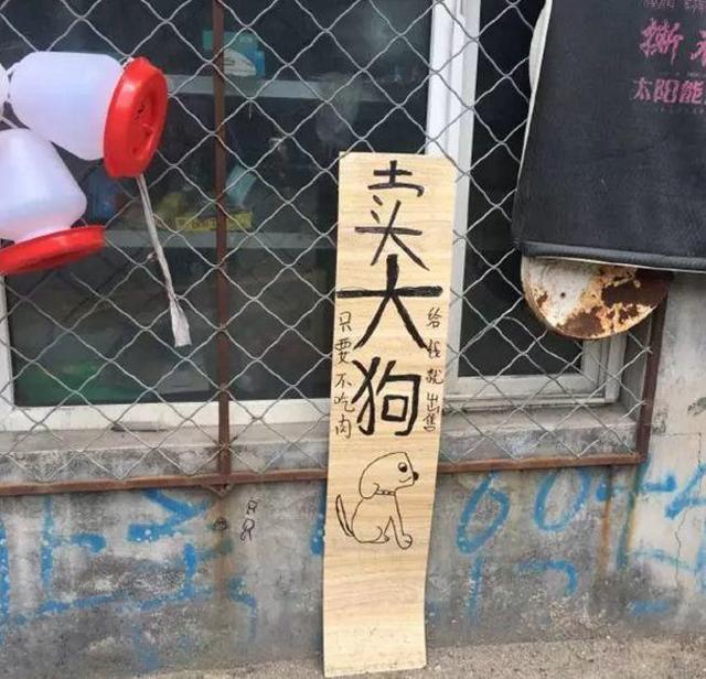 中國街道廣告牌燈箱有多野？看看這些讓人笑掉大牙的牌子名20