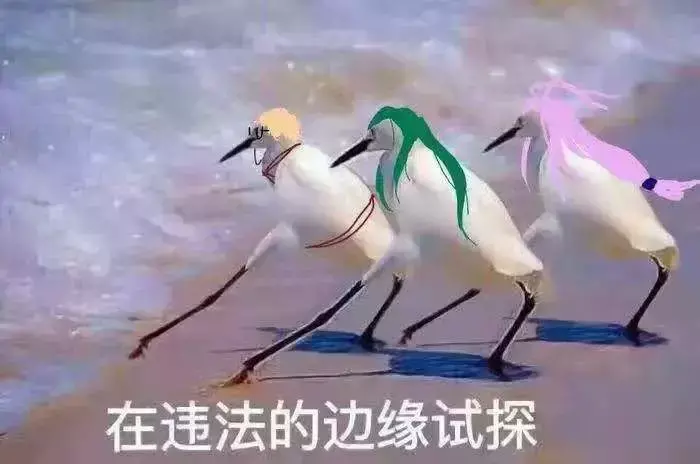中國路邊的做燈箱廣告牌，我能笑一年